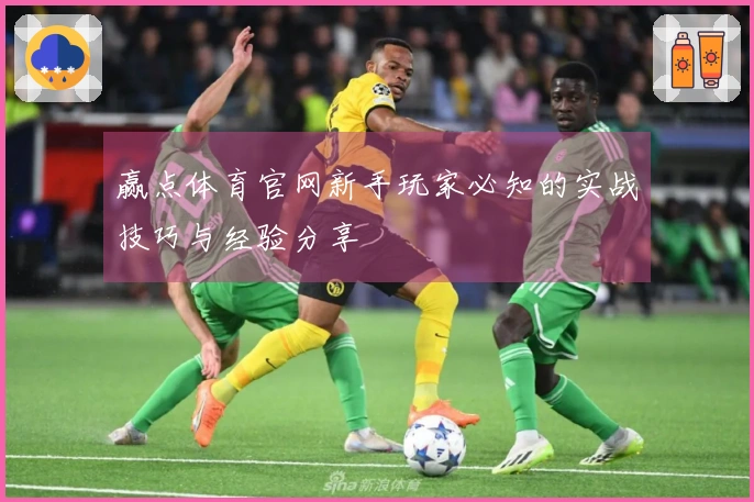 赢点体育官网新手玩家必知的实战技巧与经验分享