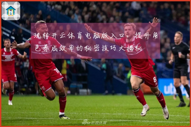 玩转开云体育电脑版入口，提升角色养成效率的秘密技巧大揭秘