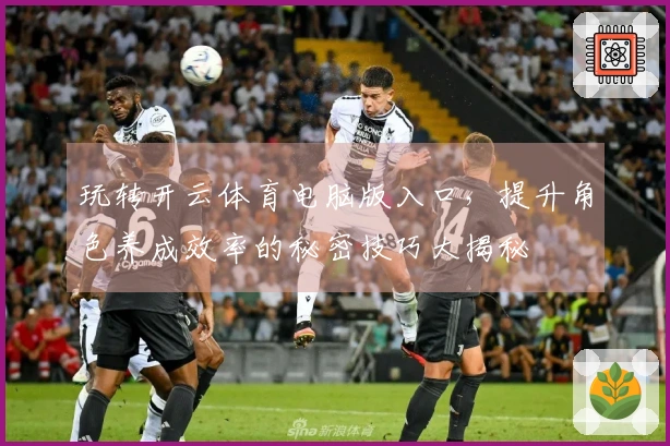 玩转开云体育电脑版入口，提升角色养成效率的秘密技巧大揭秘