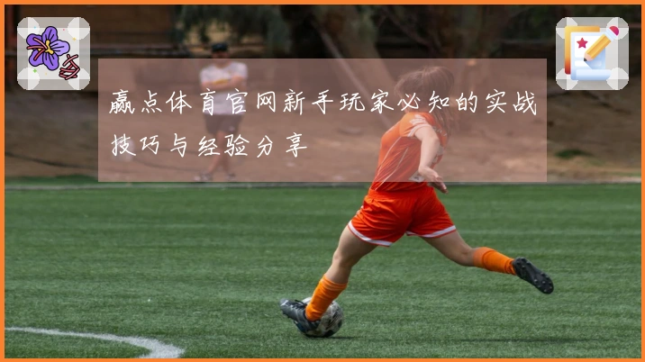 赢点体育官网新手玩家必知的实战技巧与经验分享